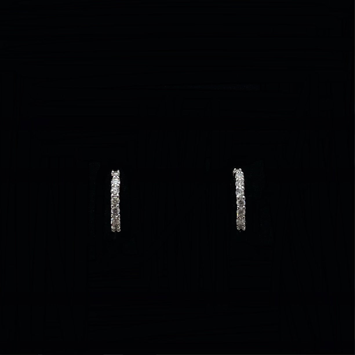 S925 Silver Circle Diamond Earrings