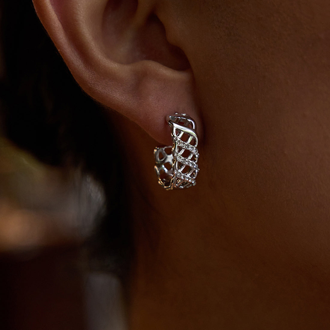Stainless steel mesh earrings