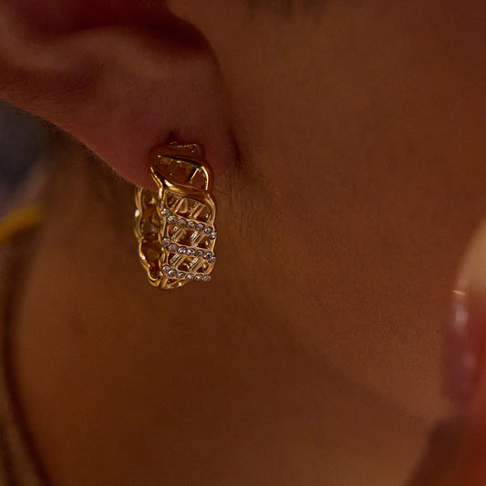 Stainless steel mesh earrings